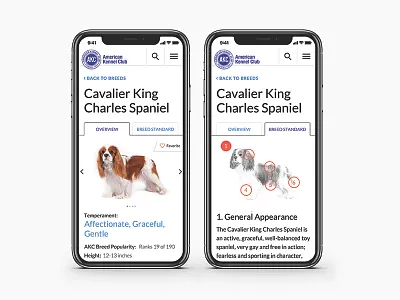 AKC dogs responsive design tabs ui ux visual design web design