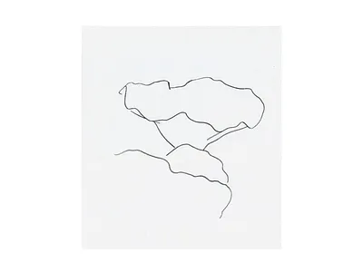 It’s never gonna stop charcoal davidcallow drawing grey key line leaf line nature water lilly