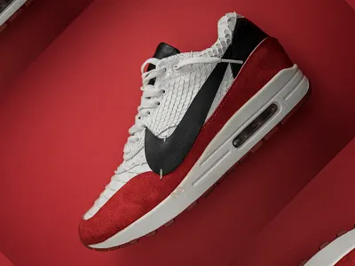 Custom Airmax 1