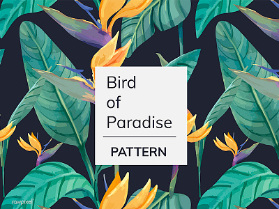 Tropical 2 bird of paradise floral illustration leaf pattern plants tropical