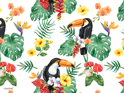 Tropical 1 bird of paradise floral illustration leaf pattern plants tropical