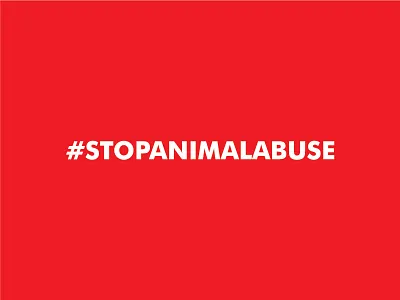#stopanimalabuse abuse animal campaign care rescue save stop