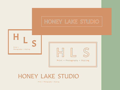 Honey Lake branding design font icon illustration logo type typography