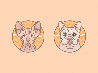 Cat&Dog cat dog icon illustration orange
