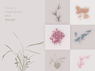 Nature, Inspiration and Design colour concept explore graphic icon nature plant ui visual