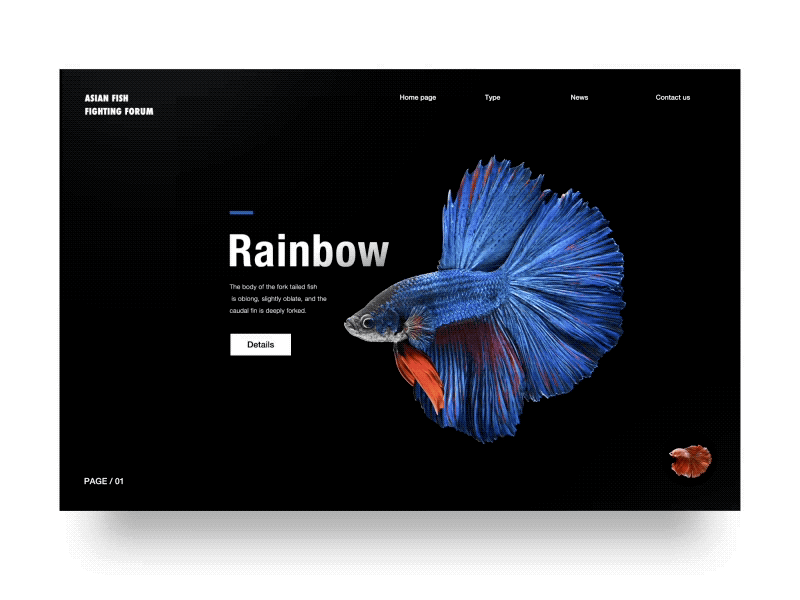 Dynamic design of fish web site animal animation dark fish ux web