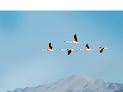 Daily hand-painted/A flock of birds mountain，bird，the scenery，wacom，ps