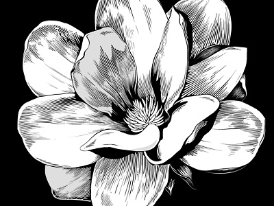 Sweet April showers do spring May flowers. birds black and white illustrations custom art illustration pattern print spring