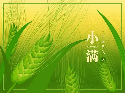 grain buds buds grain wheat