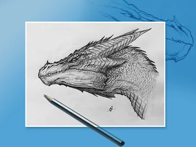Dragon - Pencil Drawing design drawing pencil