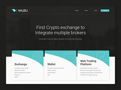 Wuzu page crypto fintech landing page trade