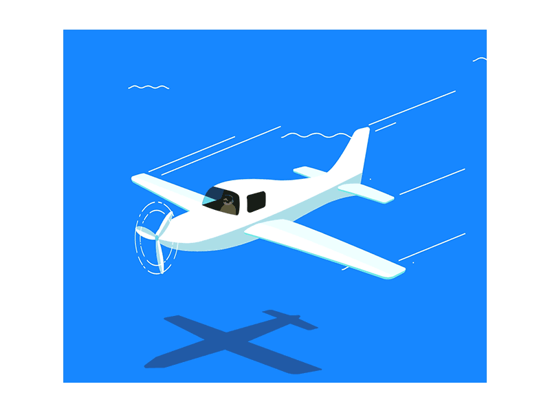Flying Over The Sea airplane