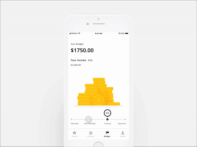 Setting a Budget animation budget finance interaction ui ux
