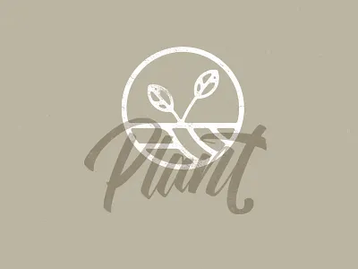 Plant calligraphy design graphic hand lettering illustration ligature logo sketch type type design typography vector