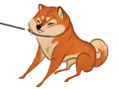 Shiba NO character character design dog doge drawing illustration photoshop painting puppy shiba shiba inu texture