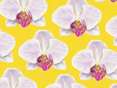 Orchids daily art design digital painting flower illustration ipad orchid plant procreate app