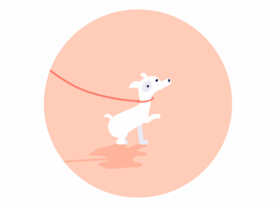 Dog jumping animation character animation dog jumping running walk cycle