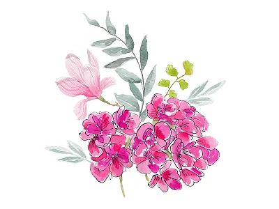 Floral bouquet drawing flowers illustration leaves painting pattern pink watercolor