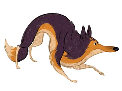 Sneaky Collie character character design collie dog doggo drawing illustration photoshop painting puppy texture