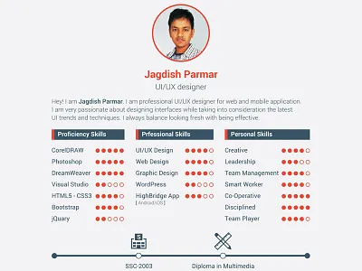 Resume Design bio data design graphics design resume design