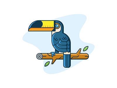 Toco Toucan