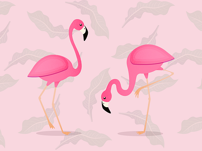 Flamingos bird flamingo grain pink summer tropic tropical bird