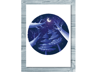 Winter night art book children illustration forest illustration night stars winter