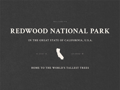 BSDS Design Challenge - National Parks bsds california crimson text national parks redwood texture typography