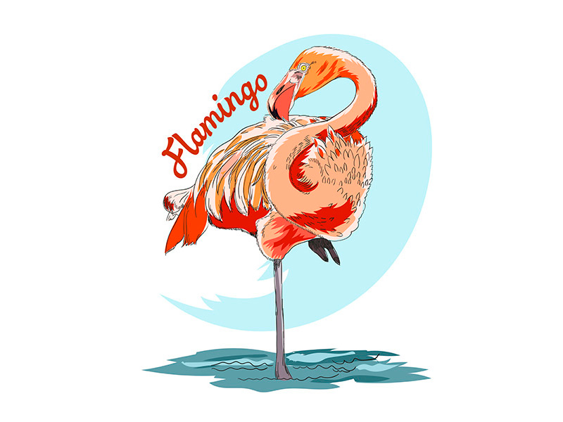 Example of Flamingo