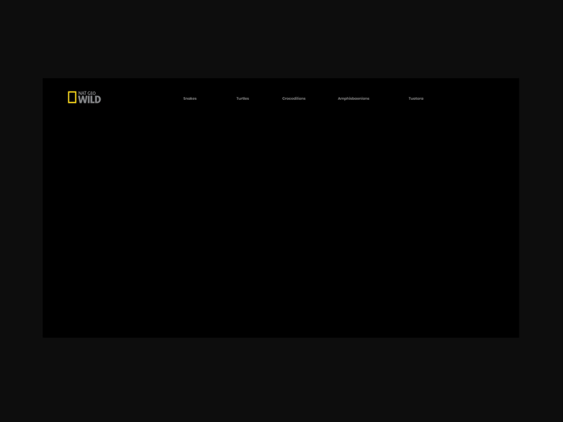 Ui Animation Web / Black kingsnake ui ui design user interface ux webdesign