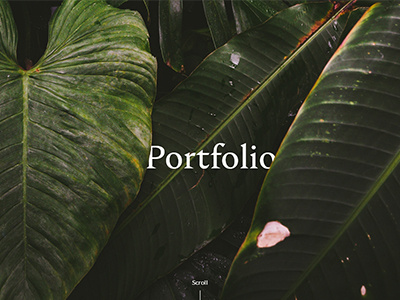 Homepage Portfolio design forest portfolio ui design ux design webdesign website