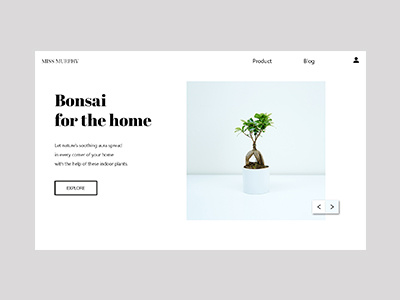 Interior Design Product Page bonsai interior design landing page minimal minimalism ui uiux user interface ux web design website