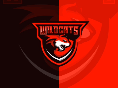 Wildcat cat gaming icon mascot shield streamer wildcat youtube