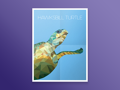 Hawksbill Turtle 2d ai animal design poly poster print ps turtle vector