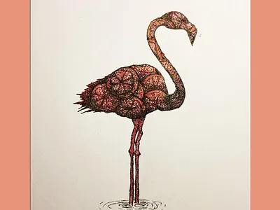Flamingo Sketch drawing flamingo florida illustration oranges pen pink