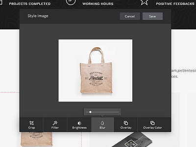Image Styling Options uiux