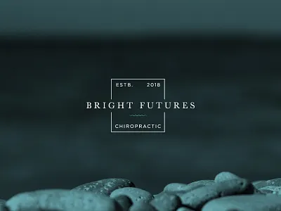 Bright Futures — Logo Concept brand branding creative design development graphics logo may star wars