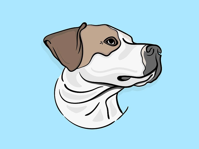 My Pup, Riley by Doug Huegel on Dribbble