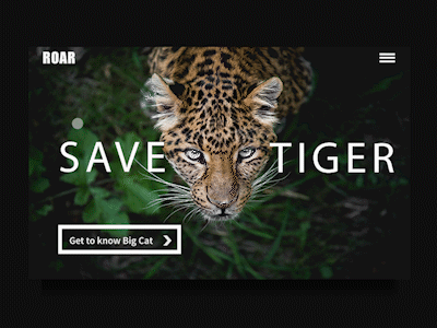 BIG CAT dark ui motion web