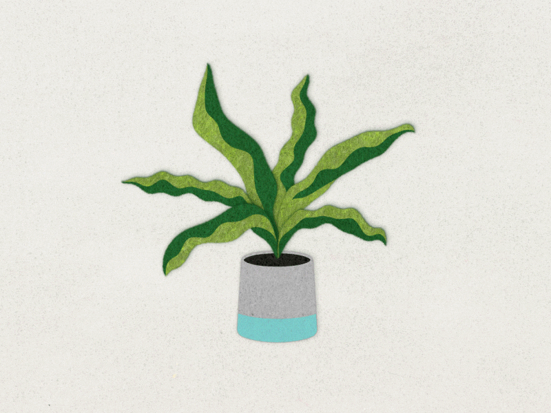 Felt Plant after effects animation chill felt plant wave