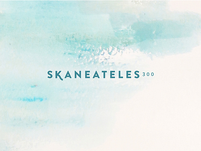 Skaneateles300 rebrand brandidentity retailbranding skaneatelesny upstateny womensclothing