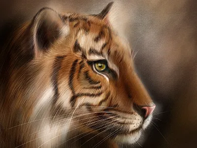 Amur Tiger illustration wwf wwfrussia