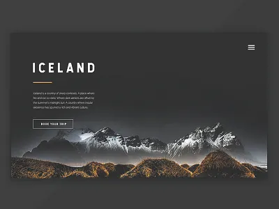 Landing Page button dark minimal modern sleek typography ui ux web web design website