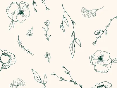 Fiori. botanical illustration floral sketch florals illustration