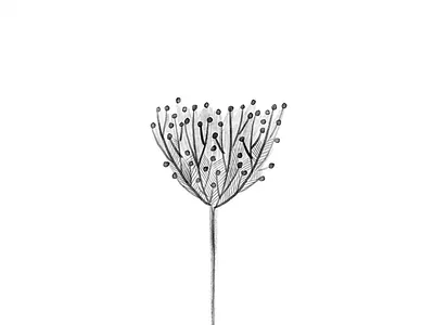 Negative space feminine illustration