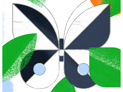 Butterfly butterfly geometric illustration insect leaf line nature shape texture