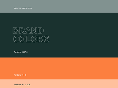 Hdz Concrete Brand Colors branding color palette