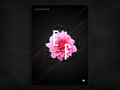 Elephant Pink Poster art black dark design flower font illustration lines pink poster