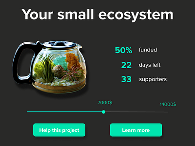 Daily UI day 32 - Crowdfunding Campaign 032 campaign challenge crowdfunding crowdfunding campaign daily daily ui dailyui ui ux web