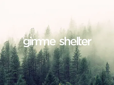 gimme shelter architecture forest illustrator logo logodesign natur vector wood